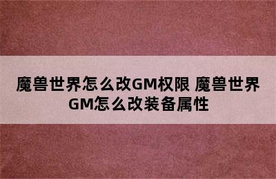 魔兽世界怎么改GM权限 魔兽世界GM怎么改装备属性